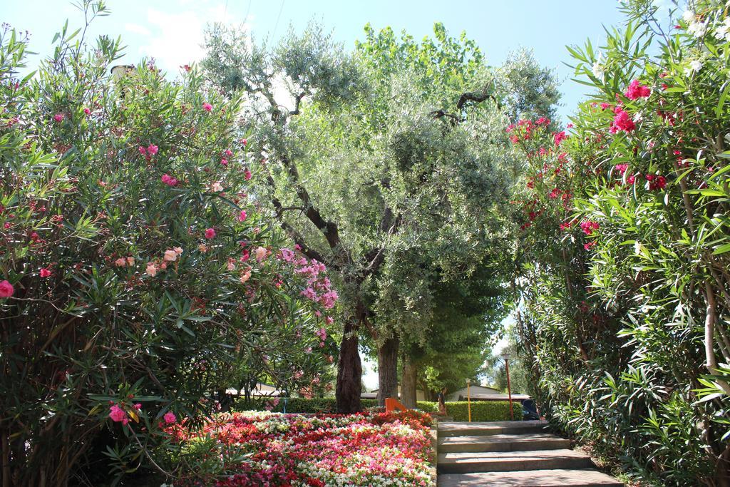 Camping Cisano - San Vito Bardolino Zewnętrze zdjęcie